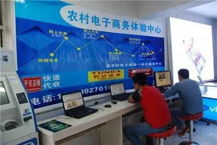 全州農(nóng)村迎來電商新機(jī)遇 馬云與電子商務(wù)服務(wù)助力鄉(xiāng)村振興