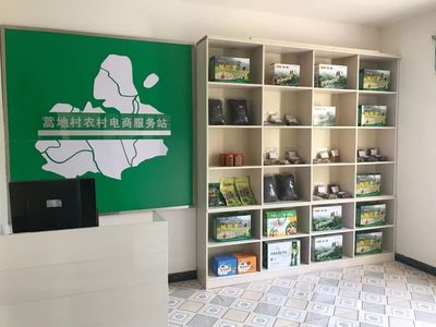 圖說由陜?nèi)氪ā暗谝绘?zhèn)”——轉(zhuǎn)斗鎮(zhèn)電子商務(wù)服務(wù)發(fā)展紀(jì)實