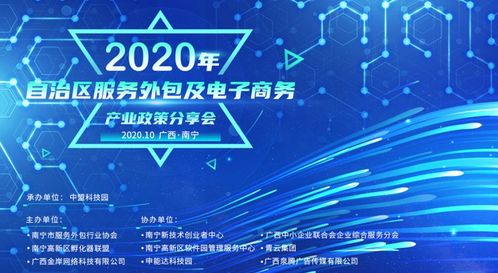 2020年自治區(qū)服務(wù)外包及電子商務(wù)產(chǎn)業(yè)政策分享會圓滿召開 聚焦電子商務(wù)服務(wù)新機(jī)遇