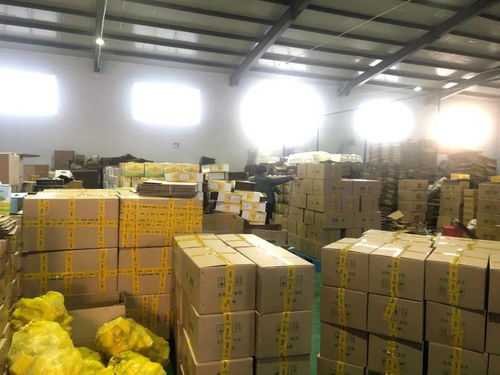 電商賦能，筑夢(mèng)五原——前11月交易額突破6億元，縣域經(jīng)濟(jì)借“網(wǎng)”騰飛